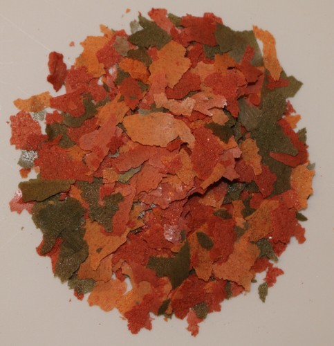 Kraft und farbfutter flocken - kraft,